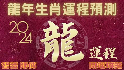 豬年2024運程|2024年龍年12生肖運程分析｜事業、感情、財運、健 